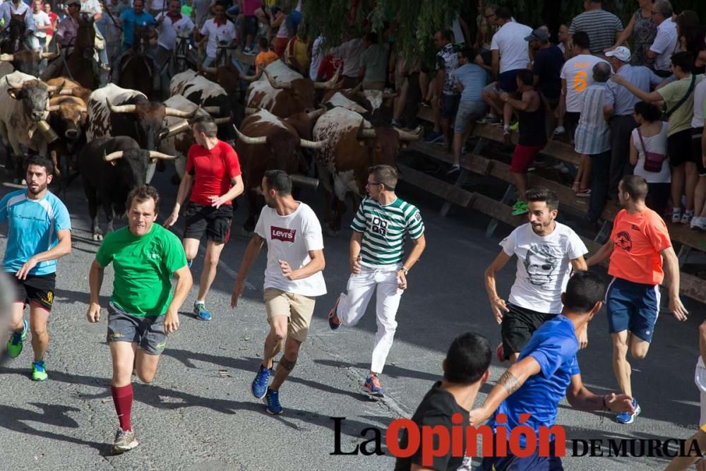 Quinto encierro en Moratalla