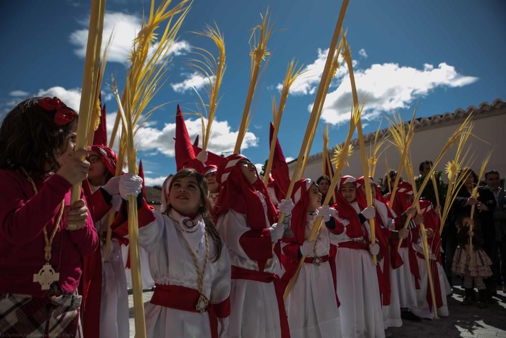 Semana Santa 2018: Procesión de palmas Villaralbo