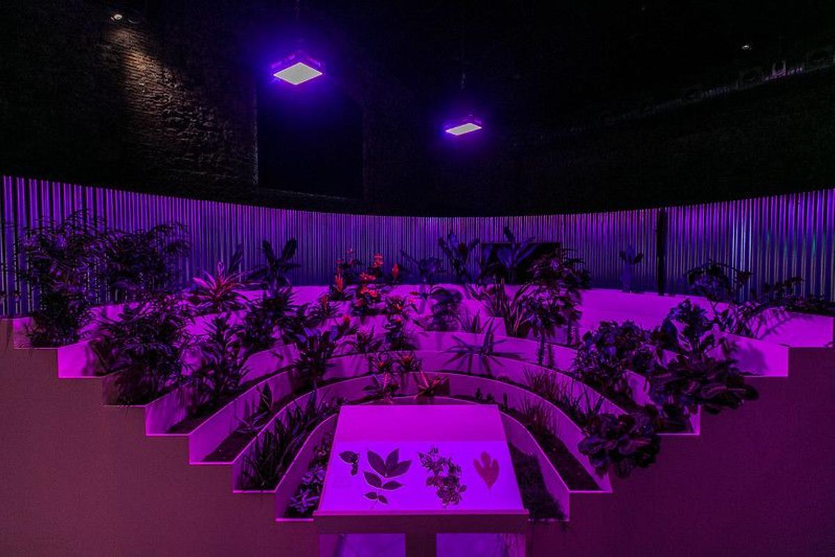 El parlamento de las plantas, de Céline Baumann, en Matadero Madrid.