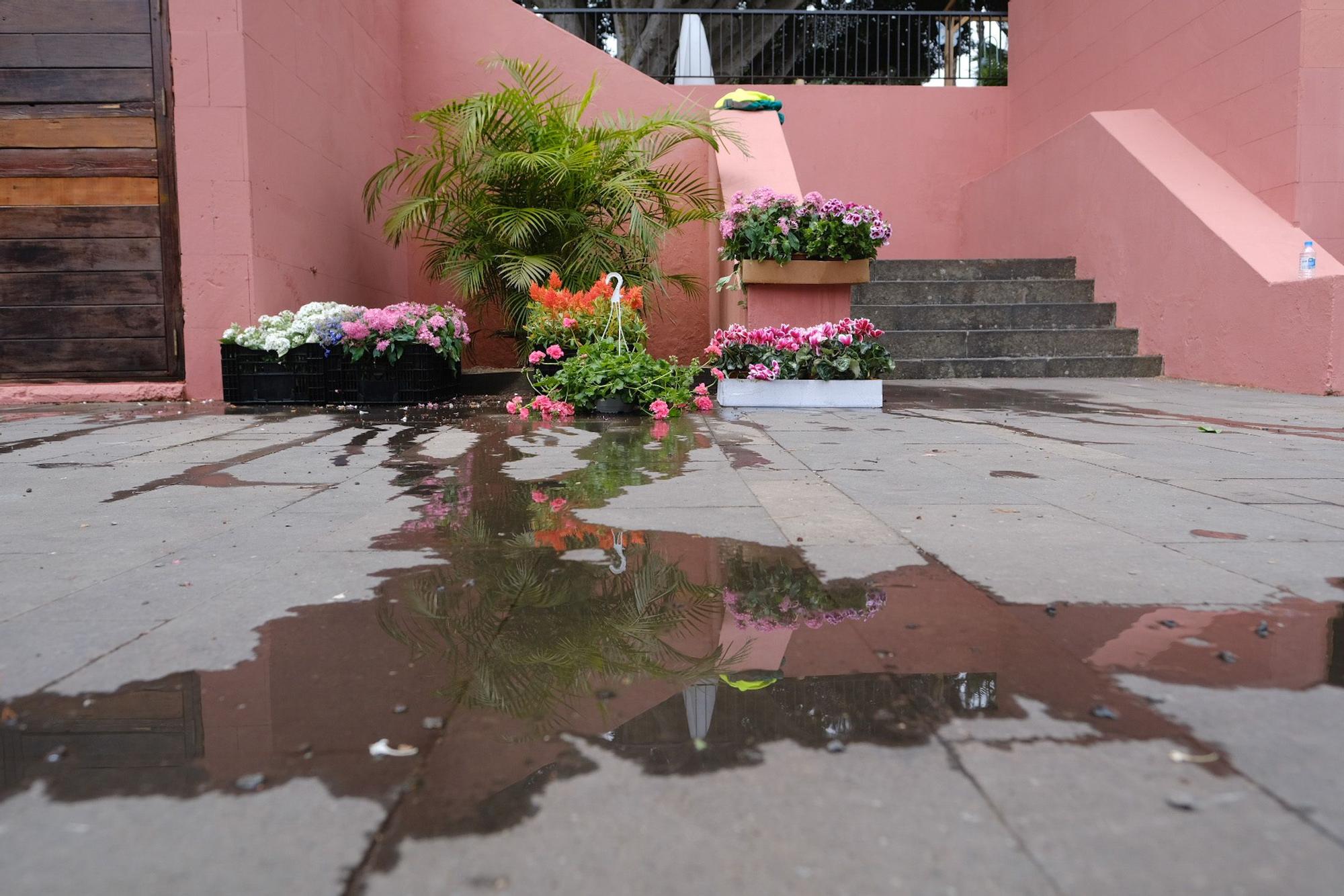  Exposición de flores ‘Florabrígida’ 