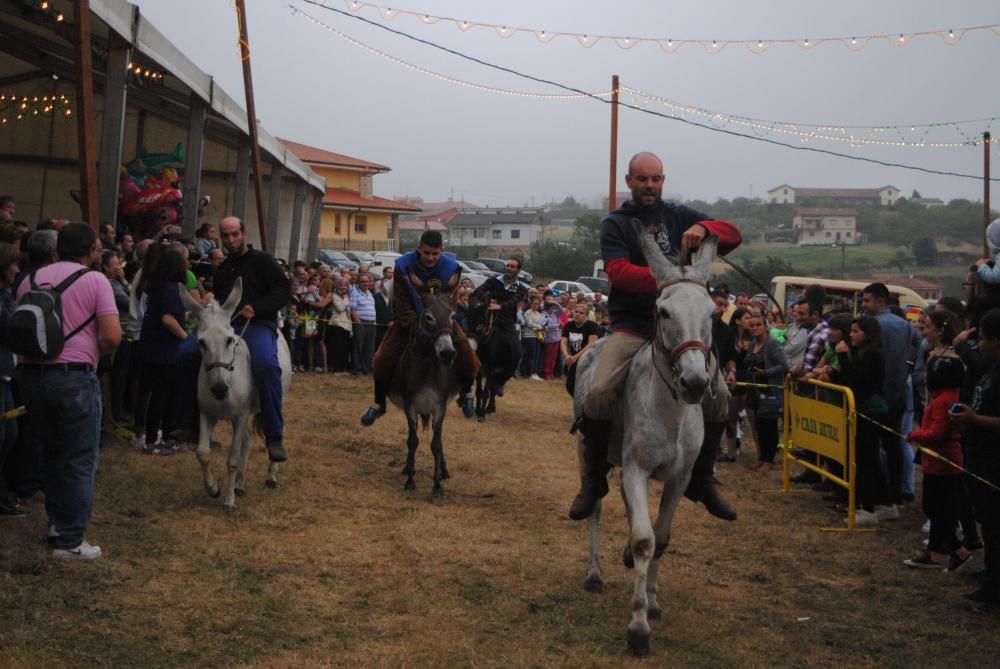 Carrera de burros