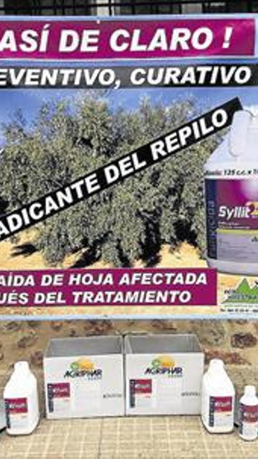 Agromaestrat es el mejor aliado de los olivareros y el más eficaz contra el  repilo - El Periódico Mediterráneo