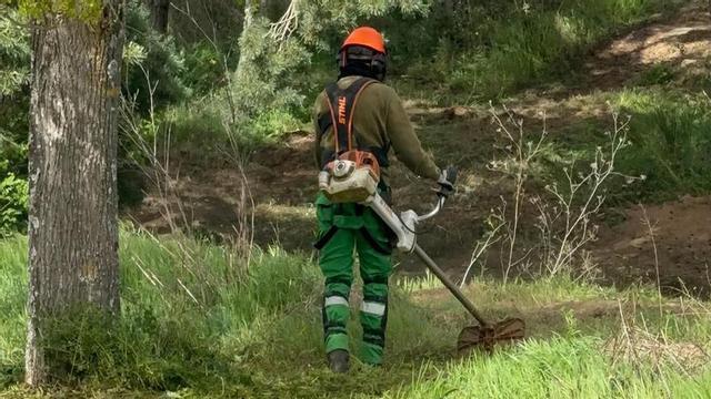Un operario limpia una zona verde.  | CH. S.