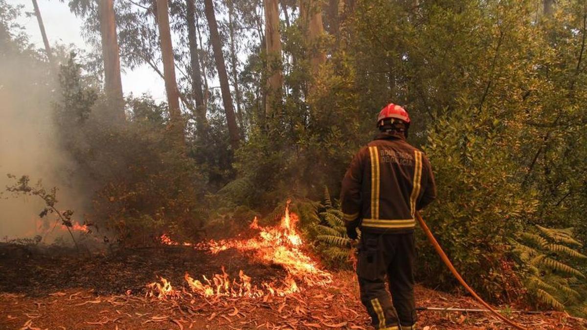 El calor y el fuerte viento dificultan las labores de extinción en Arbo.