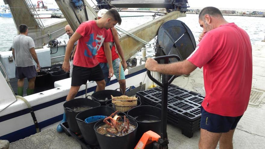 Pescadores en las instalaciones portuarias de Caleta de Vélez, las más productivas desde hace años de todo el Mediterráneo andaluz. | L. O.
