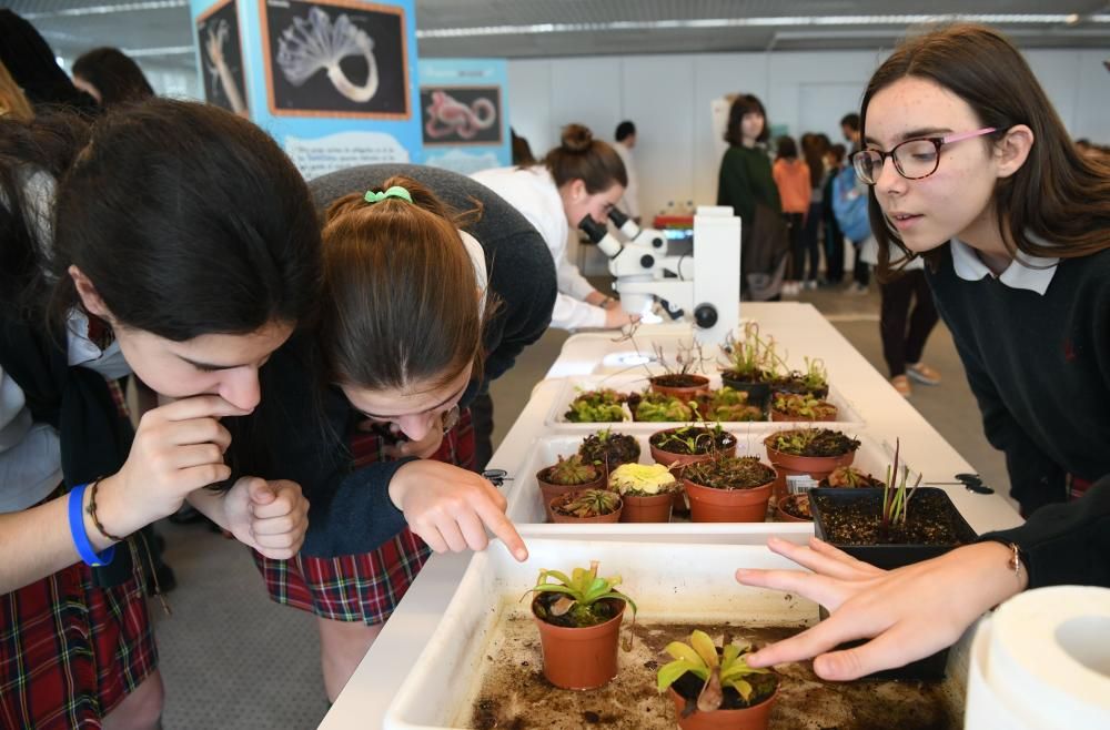 Acitividades científicas para escolares en la Fundación Barrié