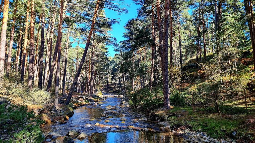 Valsaín, sostenible