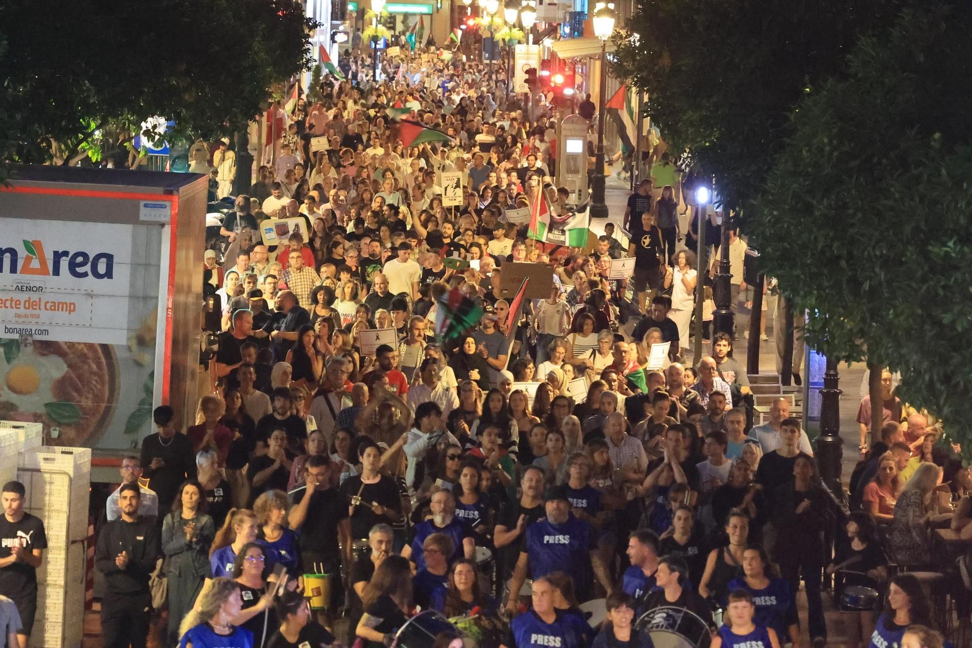Galería de imágenes: Castellón sale a la calle en defensa de Palestina