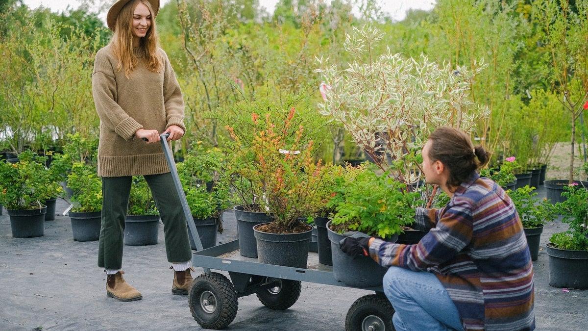 Carro de jardín para plantar plantas en el jardín con pala de árbol verde