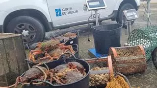 Gardacostas aprieta al furtivismo: 3.653 kilos de producto incautados en tres meses