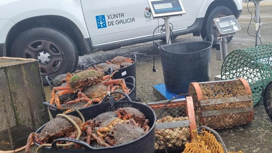 Gardacostas aprieta al furtivismo: 3.653 kilos de producto incautados en tres meses