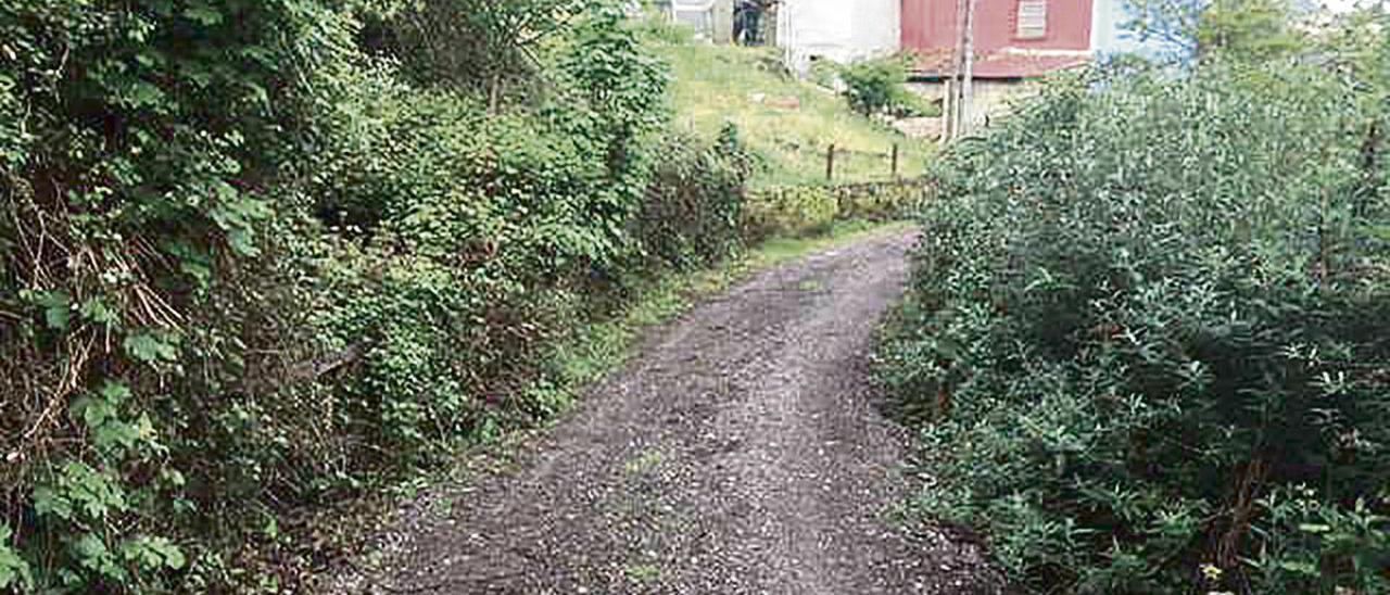 El acceso a Picu Los Sierros, en San Martín del Rey Aurelio.