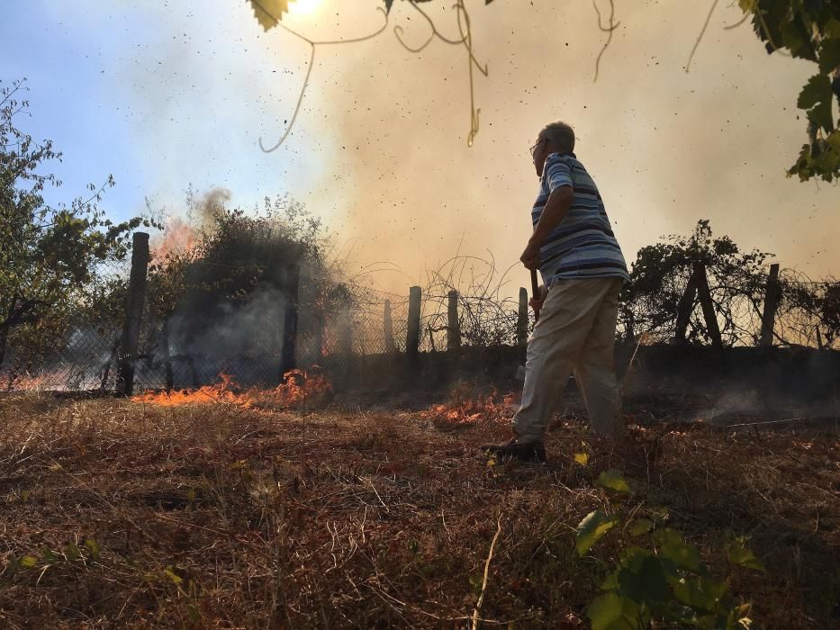 Incendio forestal en Monterrei