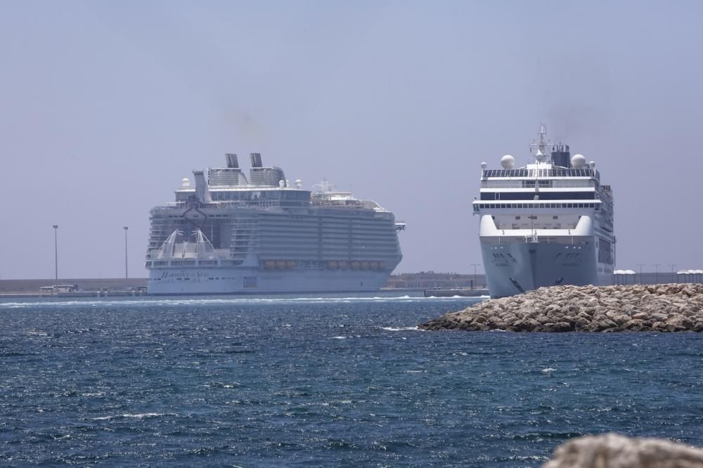 El 'Harmony of the Seas' y sus pasajeros llegan a Palma