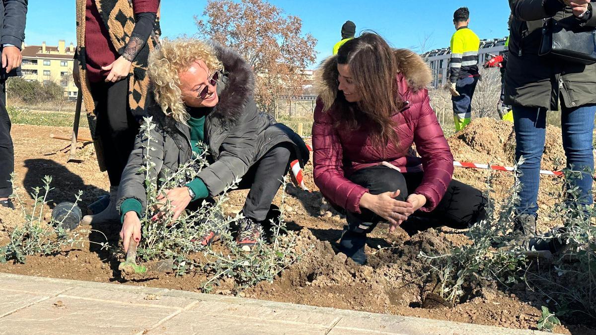La delegación malagueña ha participado en una jornada de plantación de árboles y arbustos en Zaragoza
