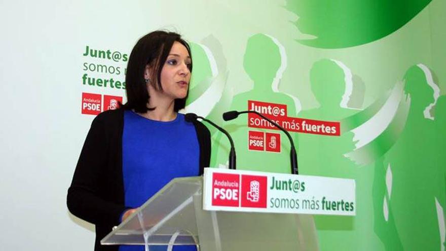 El PSOE se sumará mañana a la protesta contra la reforma local