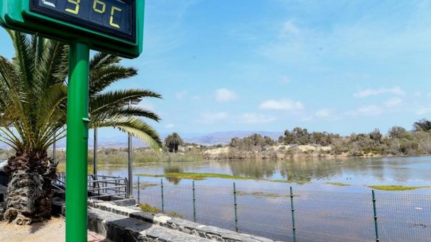 La Charca de Maspalomas se renueva