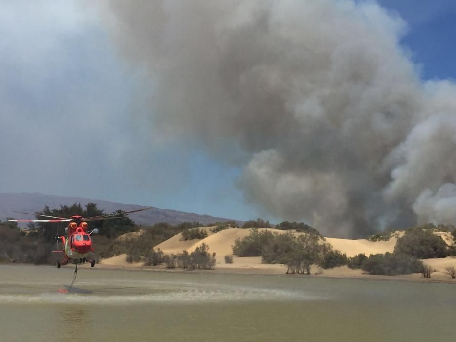 Incendio en las Dunas y Charca de Maspalomas