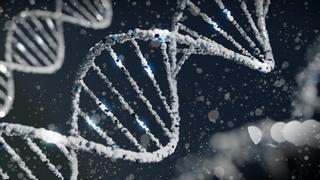 Un misterioso ADN revoluciona la edición de genes humanos