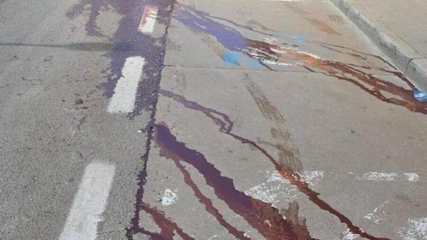 Vídeo: Nou vessament de residus carnis a Moià, el tercer episodi denunciat en els darrers mesos