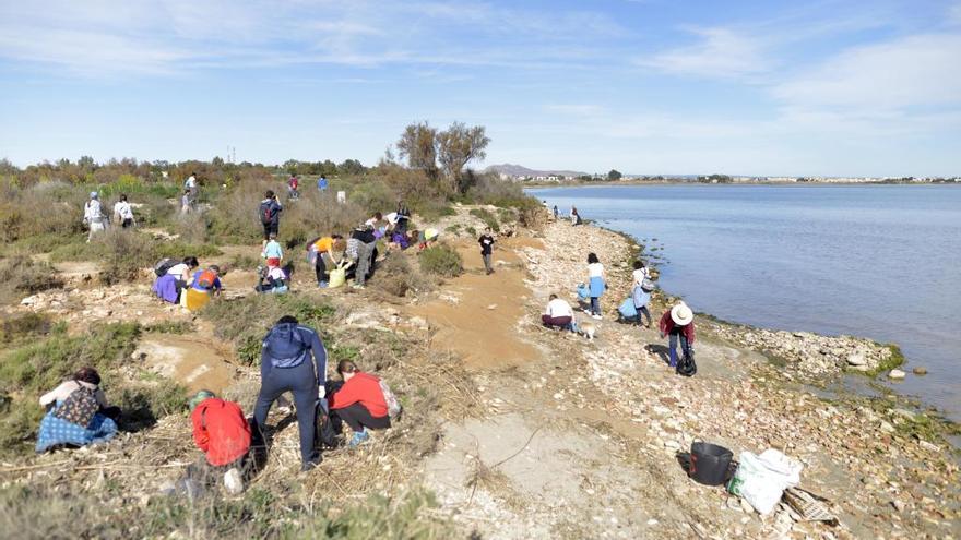 Voluntarios de Pacto por el Mar Menor recogen basura en la laguna.