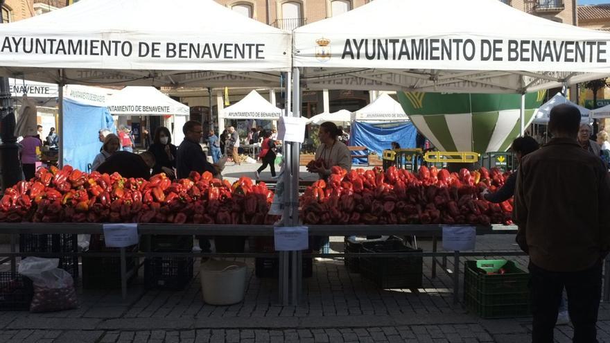 Los productores venden 20 toneladas de pimientos en la única jornada de feria en Benavente