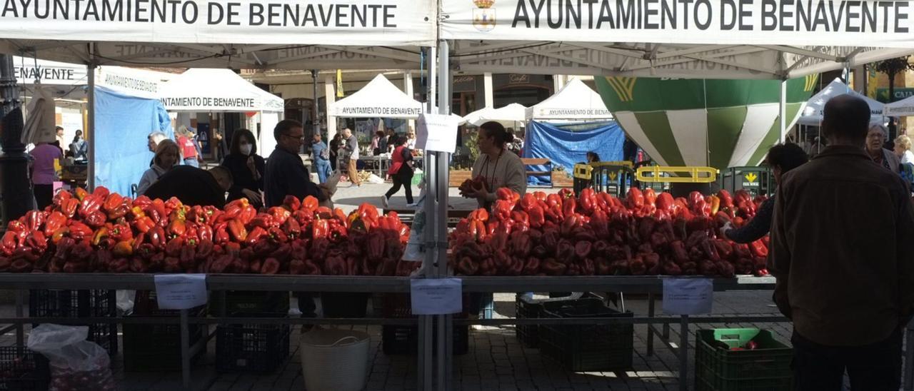 Aspecto de la plaza Mayor de Benavente a primera hora dela mañana, tras el arranque de la XXVIII Feria del Pimiento, Agroalimentaria y Alfarería.