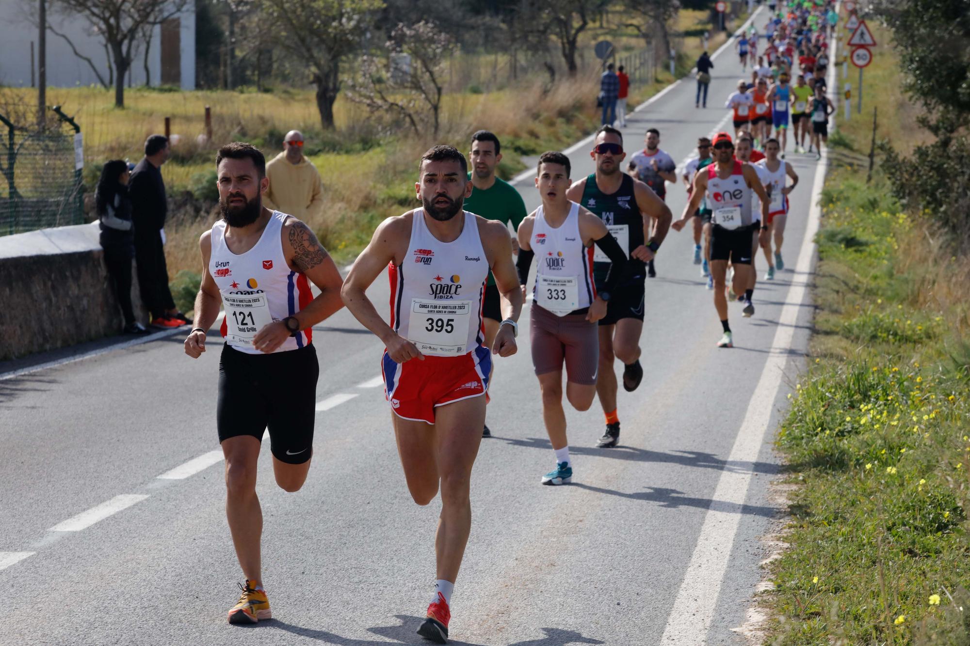 Galería de imágenes de los 250 atletas participantes en la Cursa de la Flor de l’Ametller en Ibiza