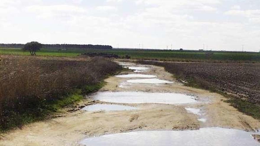 Agua estancada en los baches de un camino.