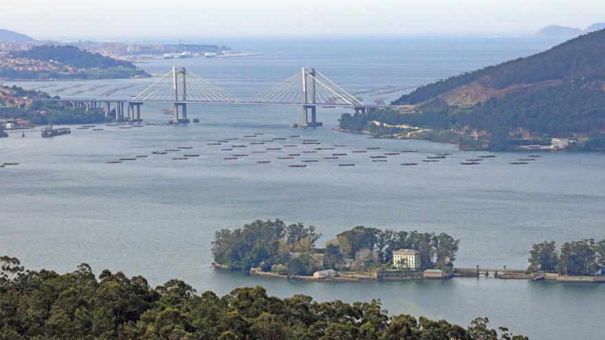 Vista general de la ría de Vigo desde la ensenada de San Simón. |   // MARTA G. BREA