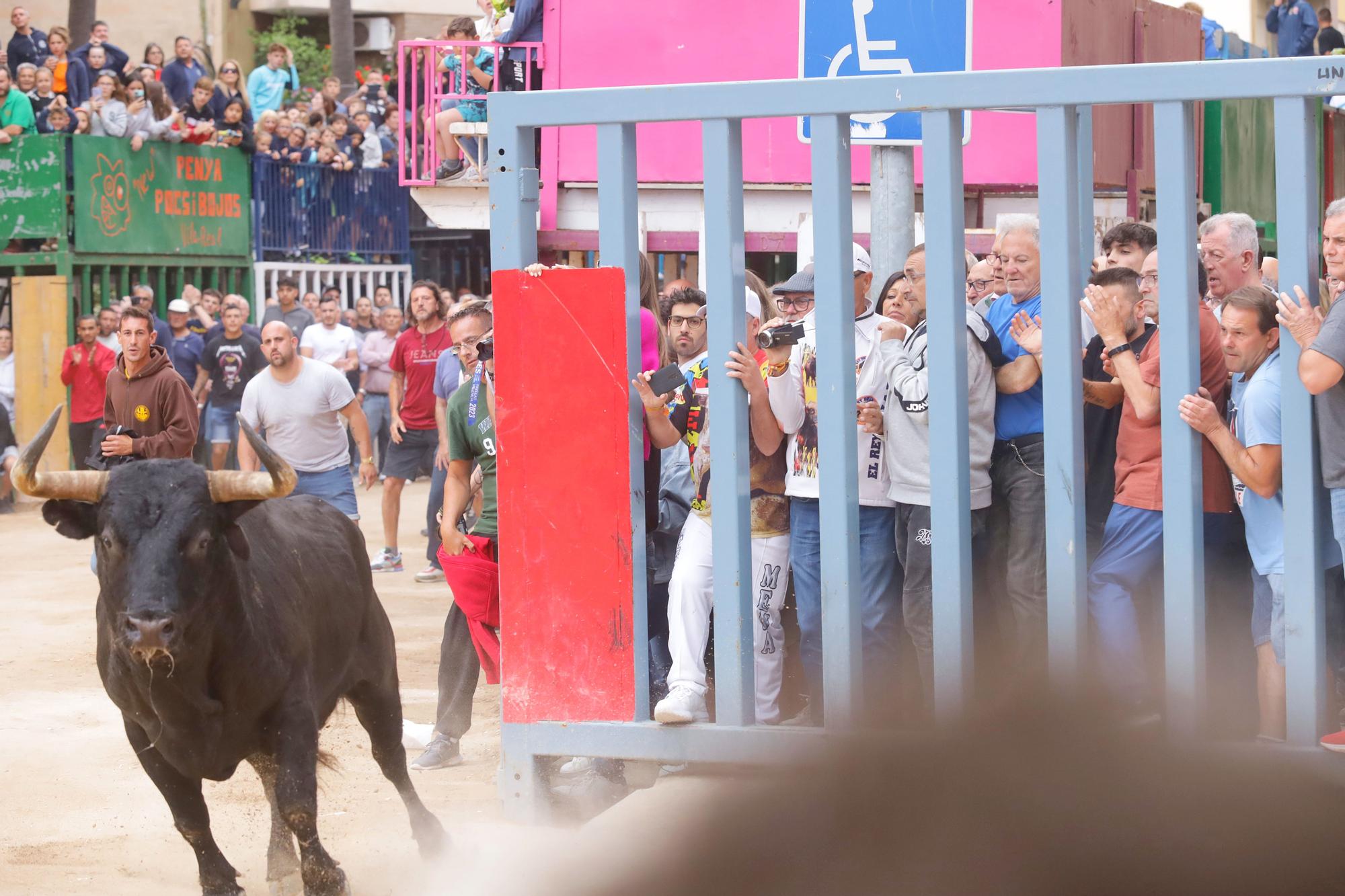 Las imágenes de la séptima jornada de las fiestas de Sant Pasqual del 2023 en Vila-real