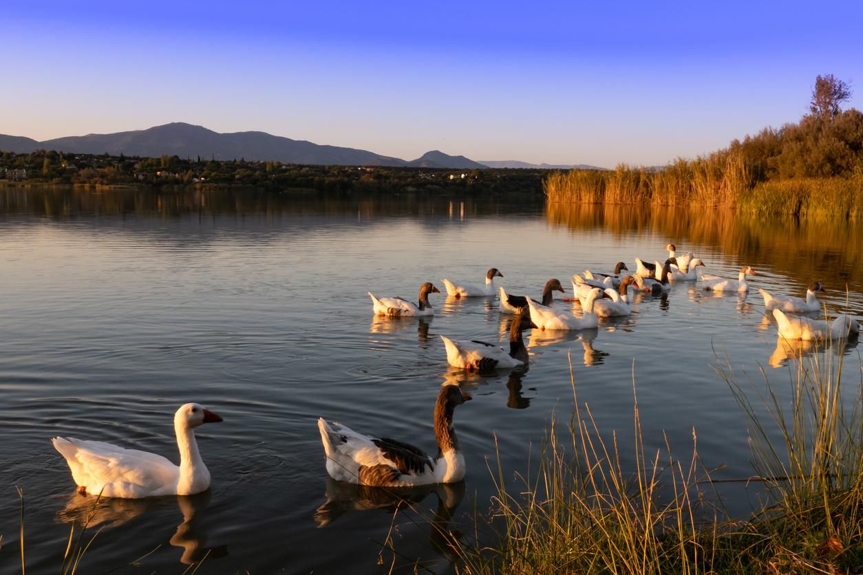 Atardecer en la presa de Cazalegas