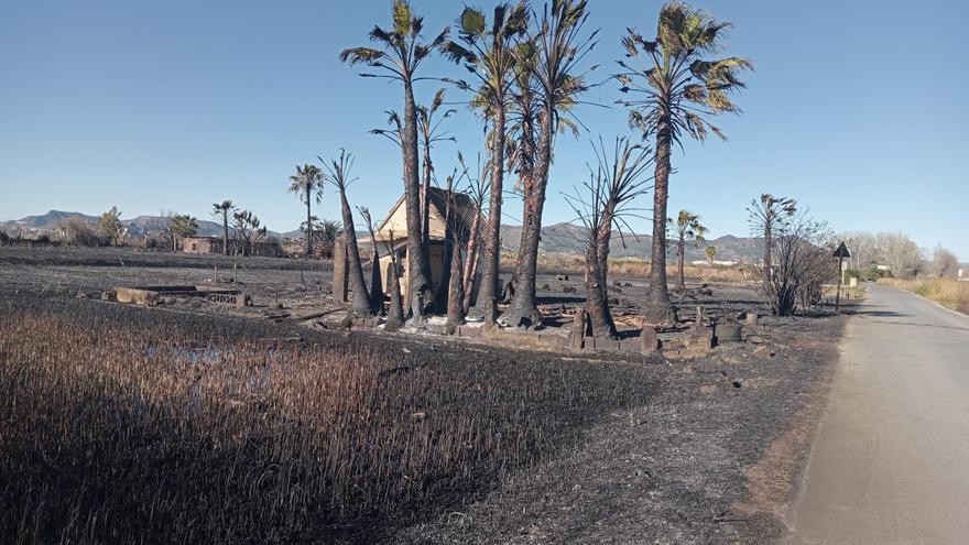 El marjal norte de Sagunt acumula cinco incendios en solo dos semanas