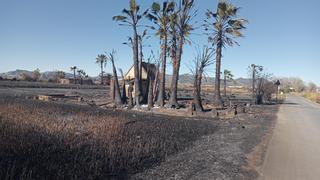 El marjal norte de Sagunt acumula cinco incendios en solo dos semanas