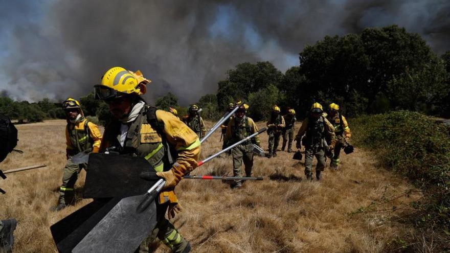 La BRIF de Tabuyo actúa en un incendio en Aliste en 2017.