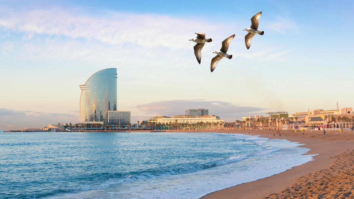 Las cuatro mejores playas cerquísima de Barcelona