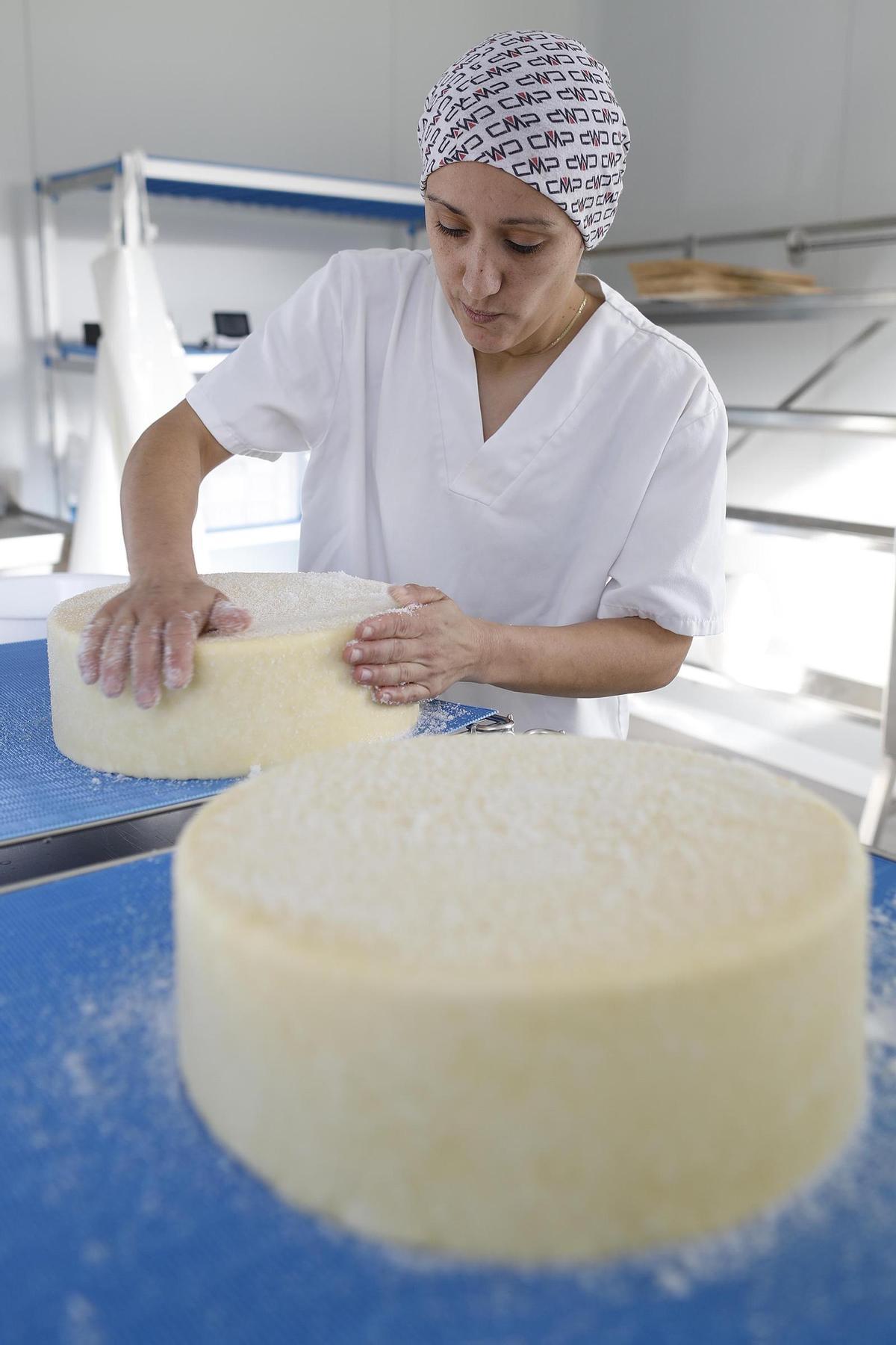 Mariona Collell elaborant formatge Terracuit a l'obrador de l'Aubreda.
