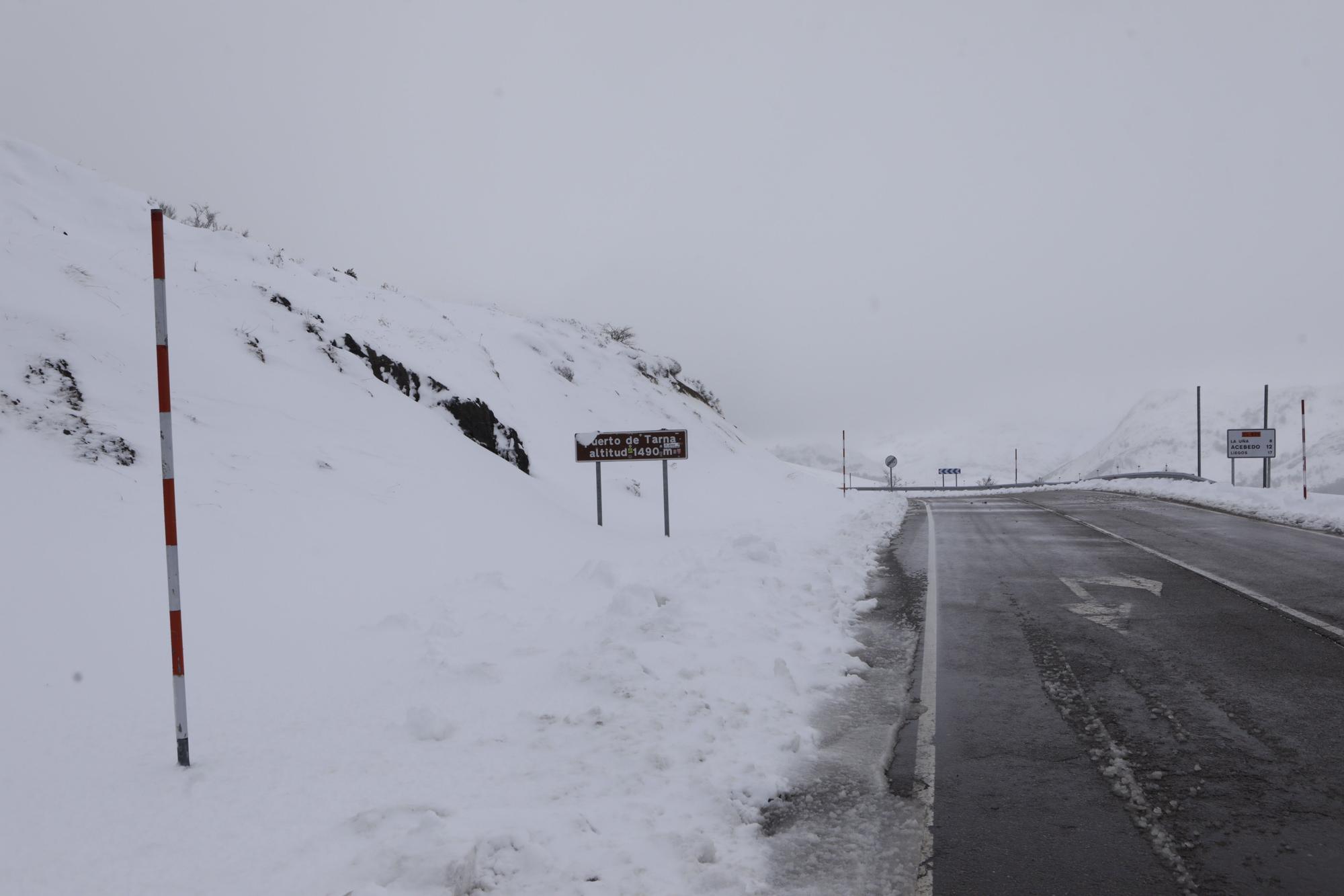 Temporal en Asturias: Así luce el pueblo de Tarna bajo un gran manto blanco