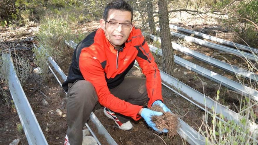 La flora microbiana del suelo  es vital contra la sequía, según investigadores del CEBAS