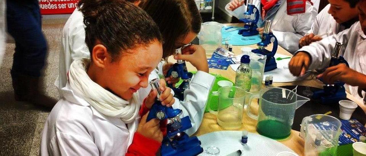 Un grupo de niños indaga la vida más minúscula con los microscopios de esta iniciativa malagueña.