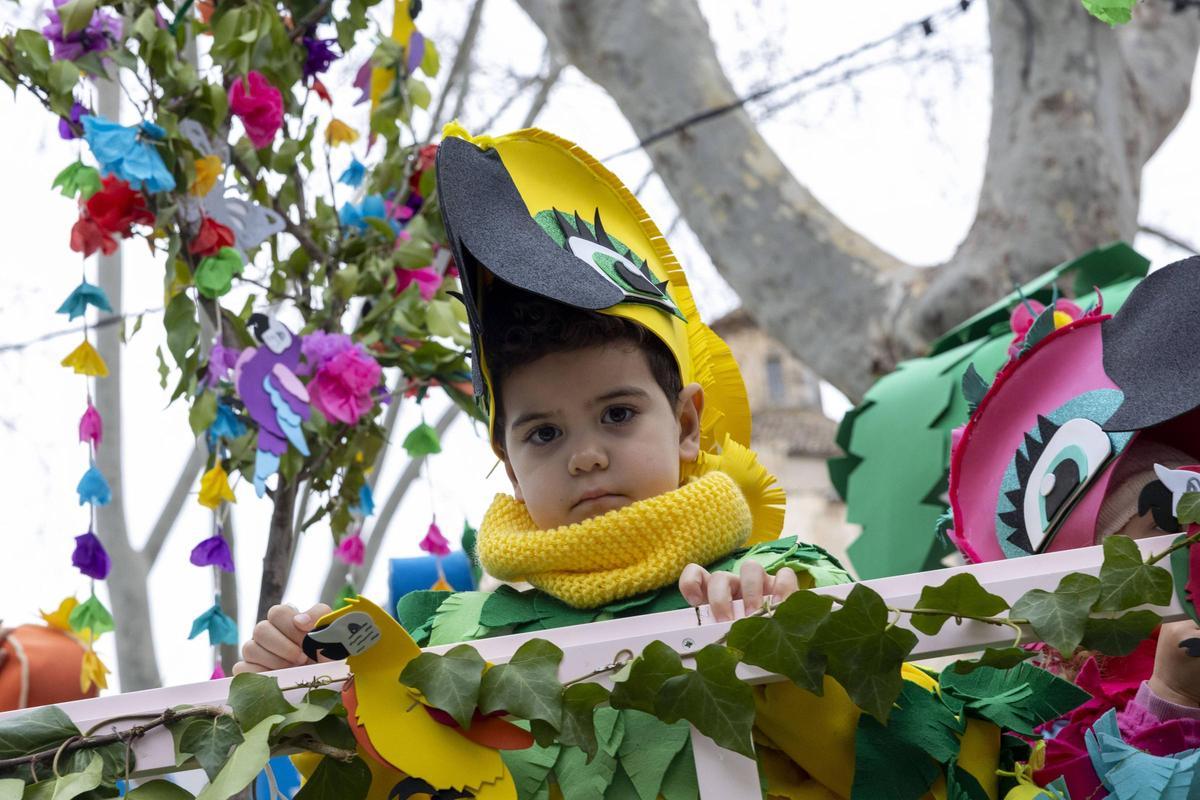 Sa Rua 2026: El espíritu del carnaval se impone en Palma