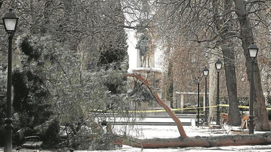 Muere un niño de 4 años al caerle un árbol en el parque del Retiro