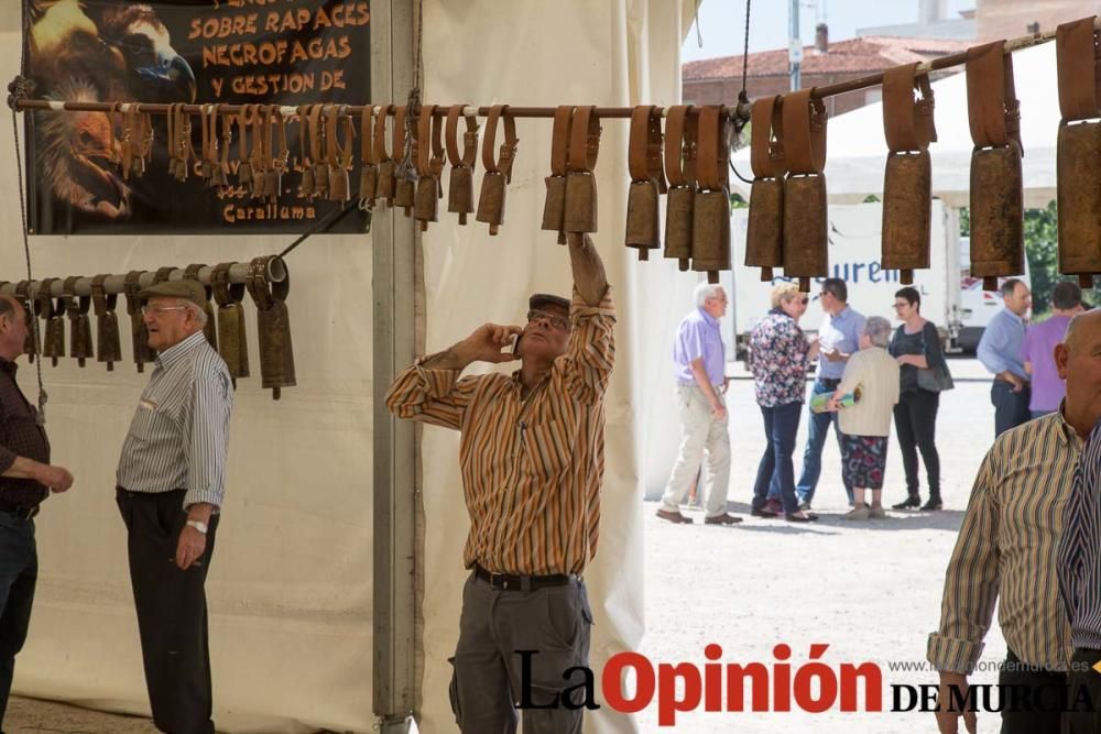 Feria del Cordero Segureño en Caravaca