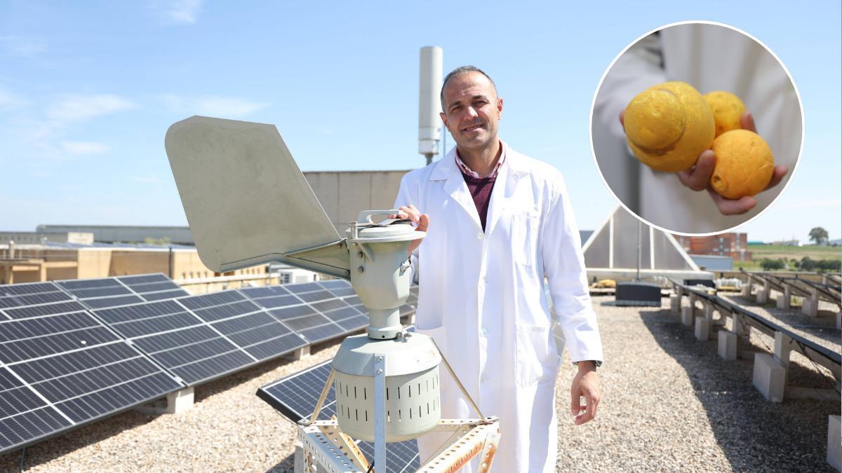 El catedrático Santiago Fernández muestra la estación aerobiológica instalada en la azotea de la Escuela Politécnica de Cáceres. En el círculo, modelos de muestras de distintos pólenes como se verían en el miscroscopio.