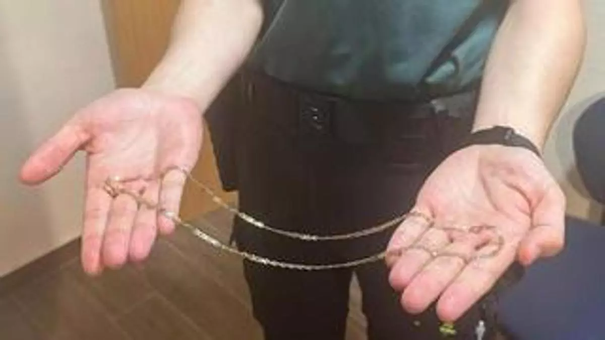 Detenidas cinco personas por robar y golpear a un transportista en Alcalà de Xivert