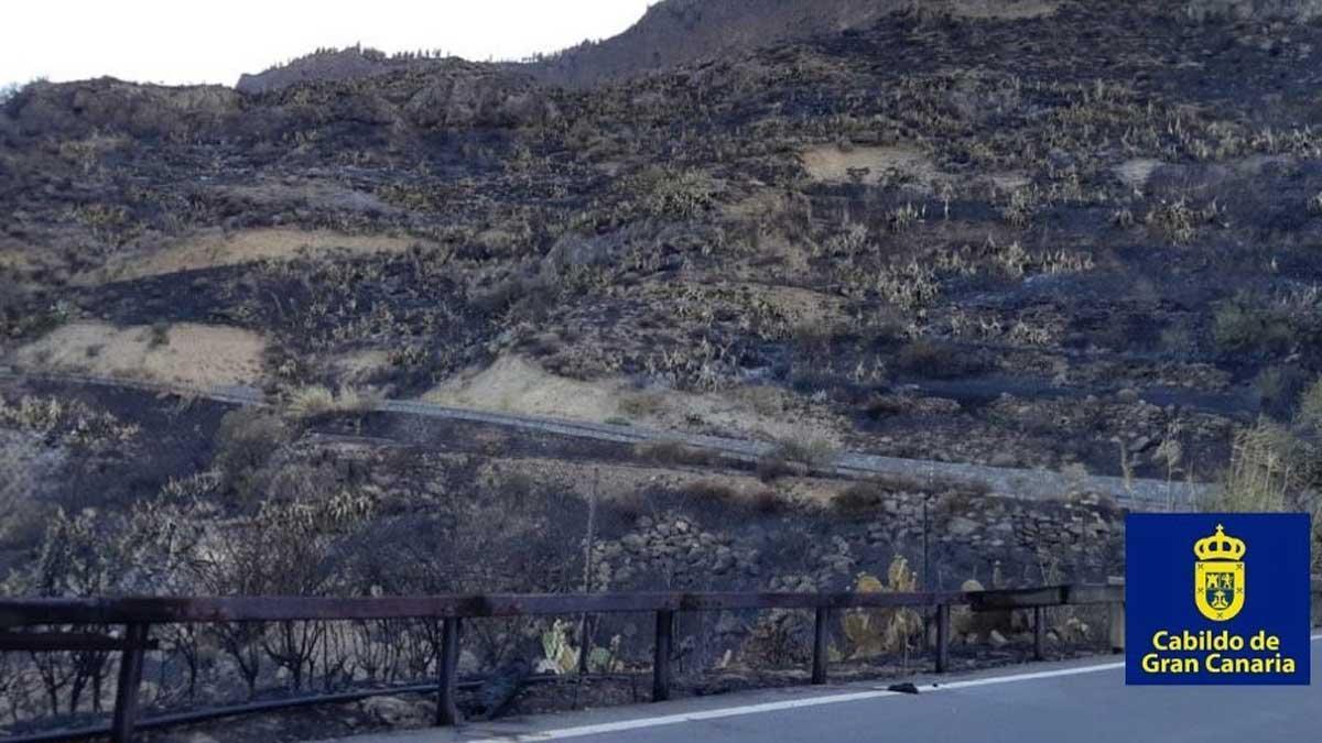 Un millar de personas permanecen desalojadas por el incendio de Gran Canaria.