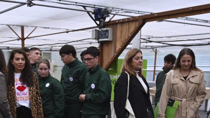 El Lago de Castiñeiras prepara su Garden, primer paso del proyecto inclusivo