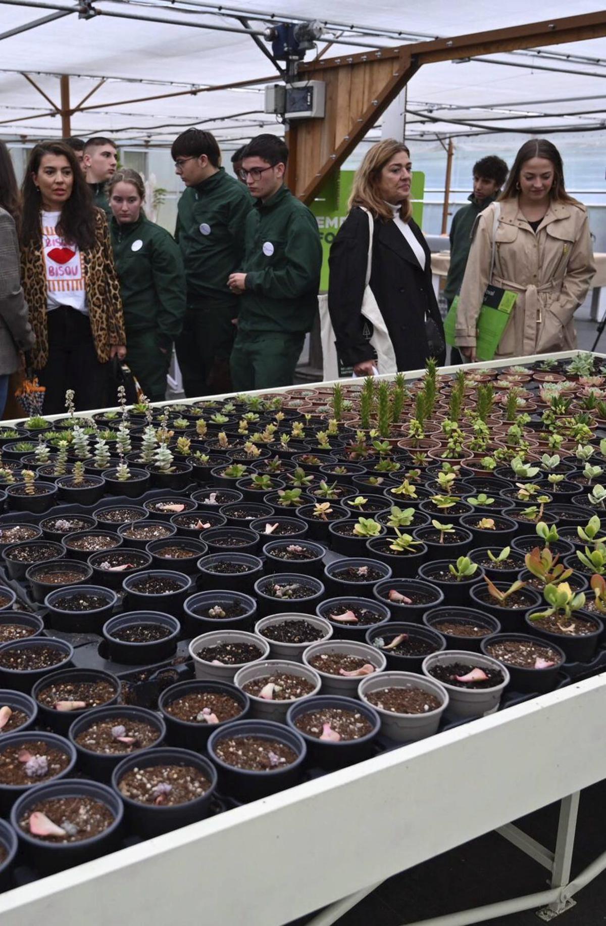 La presentación del proyecto marinense hace unos meses. | RAFA VÁZQUEZ