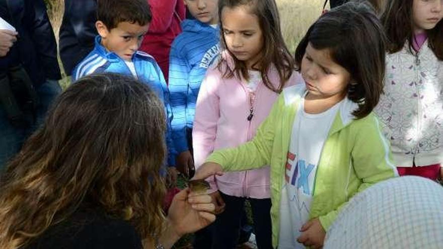 Una pequeña acaricia una de las aves anilladas.  // G.N.