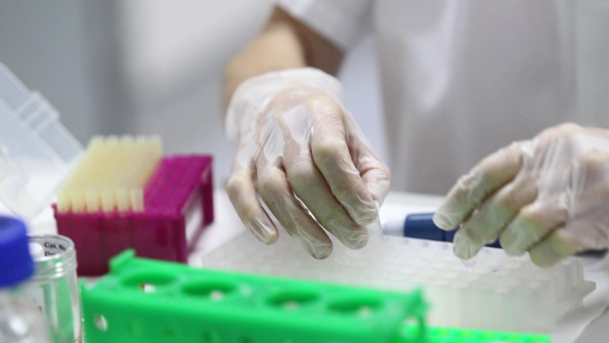 Laboratorio de Oncología Molecular del HUCA.
